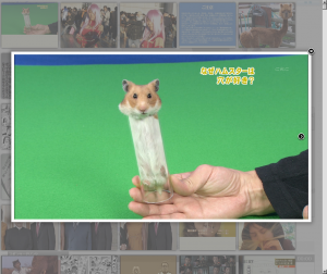 imageview04